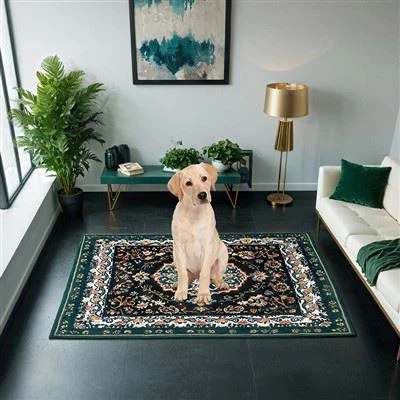 Sneldroge puppyblokken